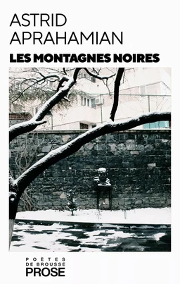 Les montagnes noires