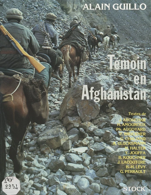 Témoin en Afghanistan - Jacques Abouchar, T. Abouchar, Henri Amouroux, Philippe Augoyard, Bruno Badiche, Jérôme Bony, Vladmir Boukovski, Rony Brauman, Pascal Bruckner, Gérard Chaliand - (Stock) réédition numérique FeniXX