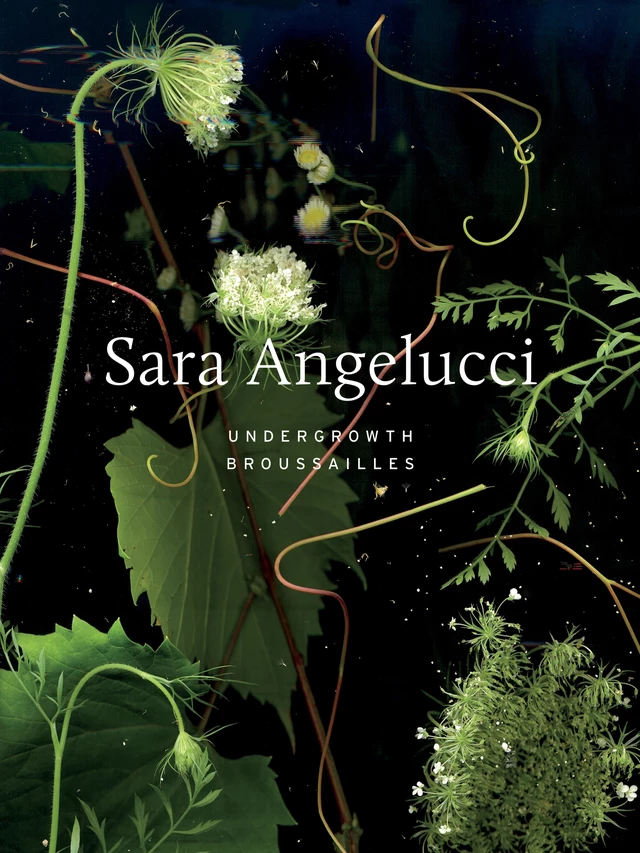 Sara Angelucci: Undergrowth / Broussailles - Shannon Anderson - ECW Press