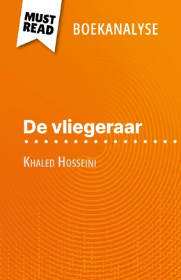 De vliegeraar