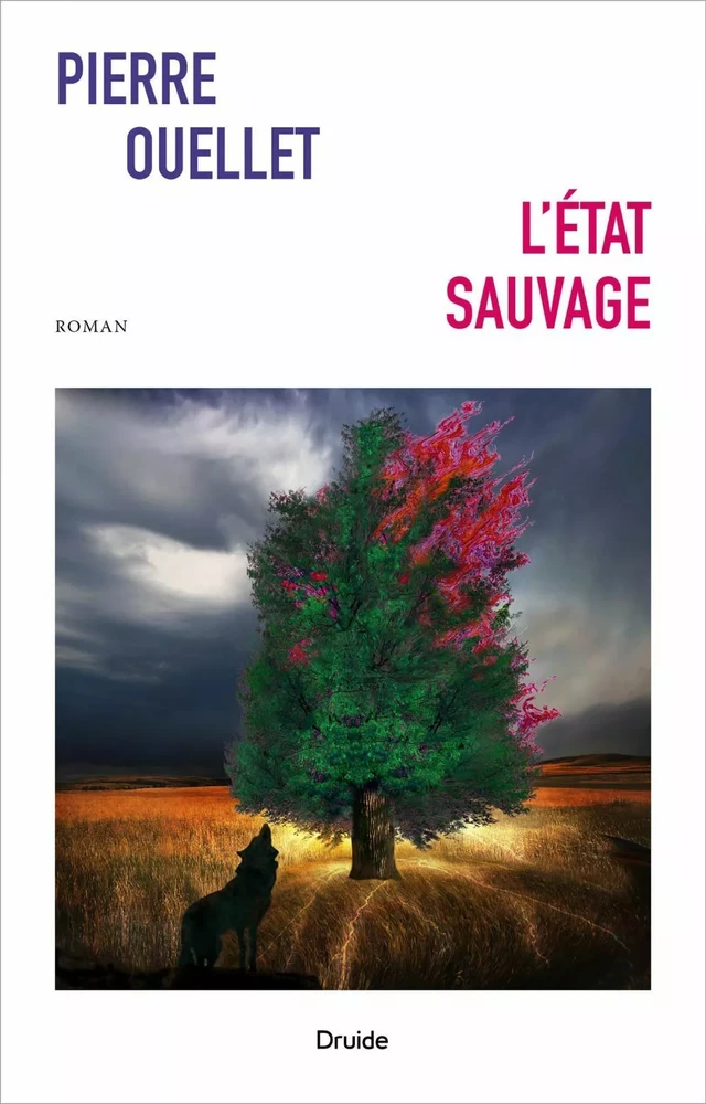 L'état sauvage - Pierre Ouellet - Éditions Druide