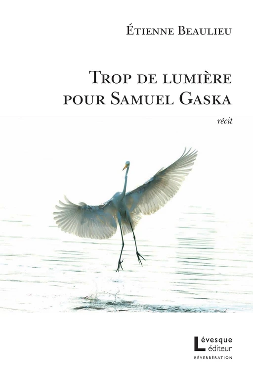 Trop de lumière pour Samuel Gaska - Étienne Beaulieu - Productions Somme toute