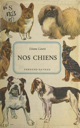 Nos chiens