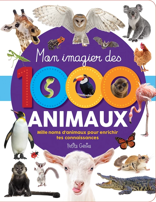 Mon imagier des 1000 animaux - Marie-Ève Côté - Petits Génies