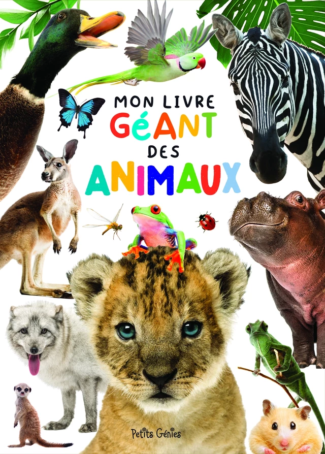 Mon livre géant des animaux - Kim Huynh - Petits Génies