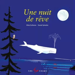 Une nuit de rêve