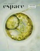 Espace. No. 126, Automne 2020 - André-Louis Paré, Aseman Sabet, Kyveli Mavrokordopoulou, Marie Siguier, Barbara Tiberi, Pamela Bianchi, Marie-Ève Charron, Simone Chevalot, Matthew MacKisack, Marjolaine Arpin, Jeffrey Poirier, Stéphanie Morissette, Tak Pham, Antoinette Jattiot, Prescilla Merabet, Nathalie Bachand, Julia Skelly, Emmanuelle Choquette, Joni Low, Bénédicte Ramade, Marie-Claude Landry, Béatrice Larochelle, Mathieu Teasdale - Le Centre de diffusion 3D