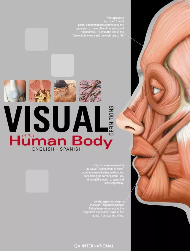 The Visual Dictionary of the Human Body -  QA international Collectif - Québec Amérique