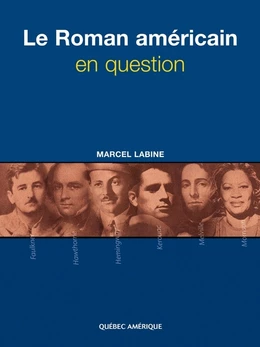 Le Roman américain en question