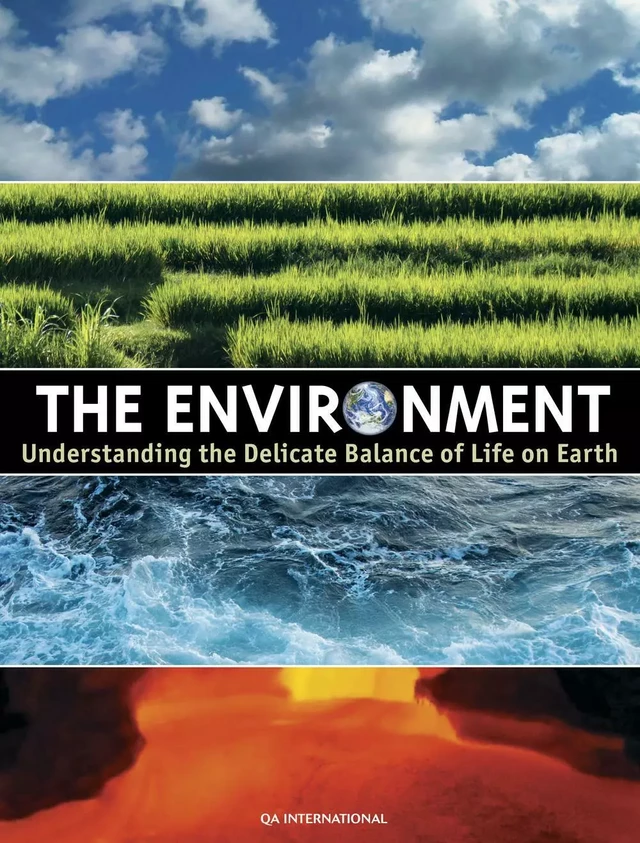 The Environment -  QA international Collectif - Québec Amérique