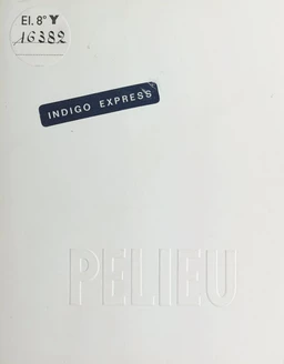 Indigo express