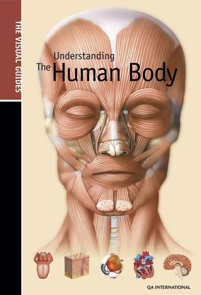 Understanding the Human Body -  QA international Collectif - Québec Amérique