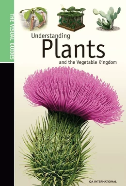 Understanding Plants & the Vegetable Kingdom