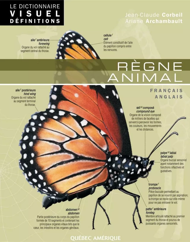 Le Dictionnaire Visuel Définitions - Règne animal - Ariane Archambault, Jean-Claude Corbeil - Québec Amérique