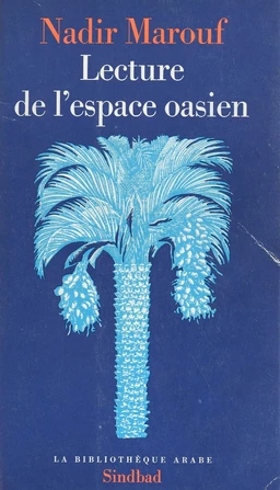 Lecture de l'espace oasien