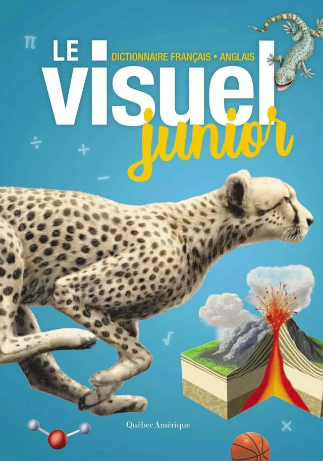 Le Visuel junior -  Québec Amérique - Québec Amérique