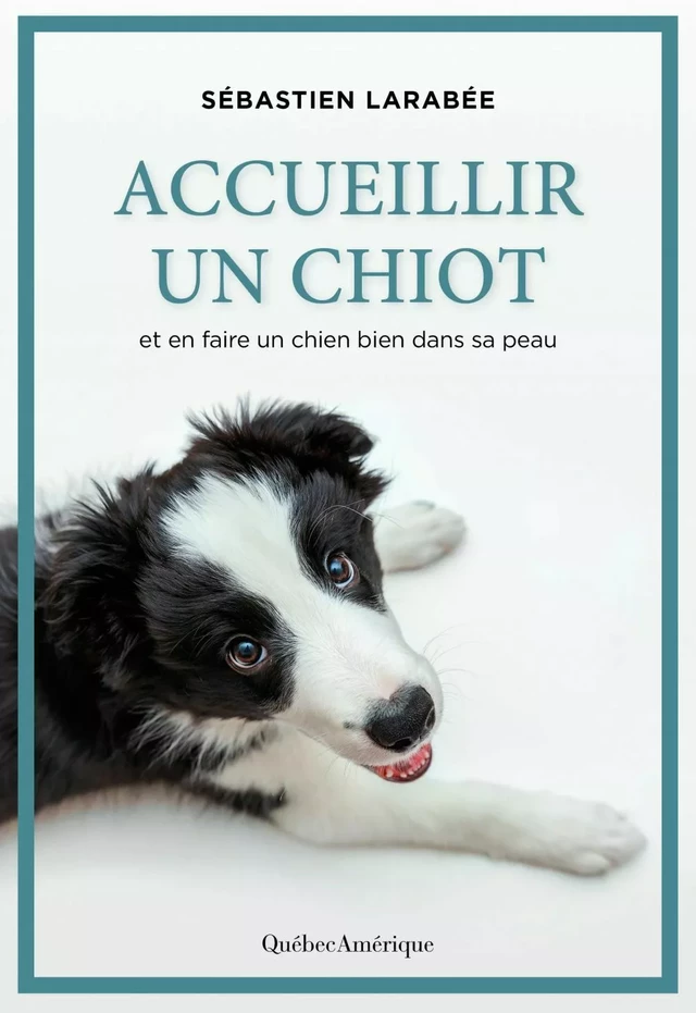 Accueillir un chiot - Sébastien Larabée - Québec Amérique