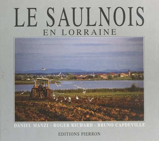 Le Saulnois : au pays du sel et de la Seille - Daniel Manzi, Bruno Capdeville, Roger Richard - FeniXX réédition numérique