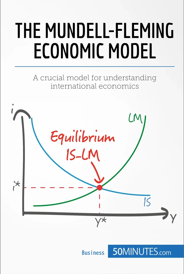 The Mundell-Fleming Economic Model -  50MINUTES - 50Minutes.com