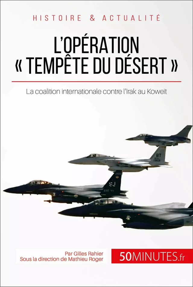 L'opération « Tempête du désert » - Gilles Rahier,  50MINUTES - 50Minutes.fr