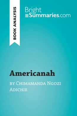 Americanah by Chimamanda Ngozi Adichie (Book Analysis)