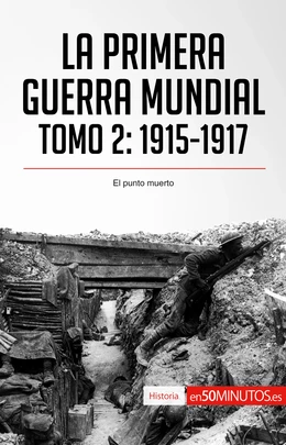 La Primera Guerra Mundial. Tomo 2