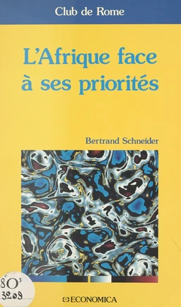 L'Afrique face à ses priorités