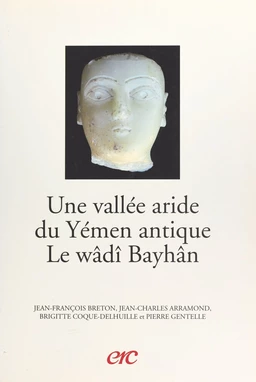 Une vallée aride du Yémen antique, le wâdî Bayhân