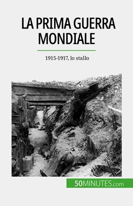 La Prima guerra mondiale (Volume 2)