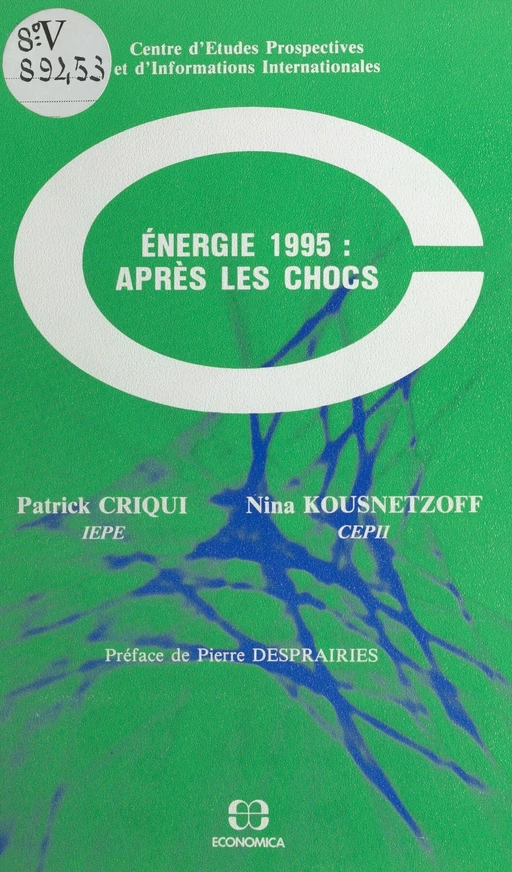 Énergie 1995, après les chocs - Patrick Criqui, Nina Kousnetzoff - FeniXX réédition numérique