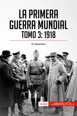 La Primera Guerra Mundial. Tomo 3