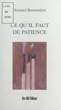 Ce qu'il faut de patience : poèmes 1994-1998