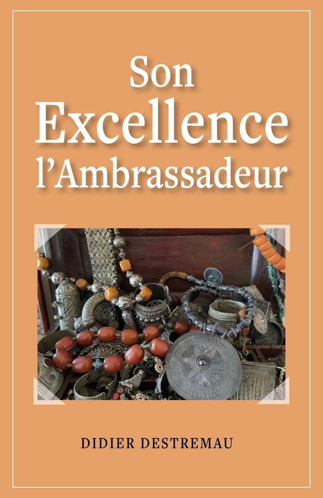 Son Excellence l'Ambrassadeur - Didier Destremau - Librinova