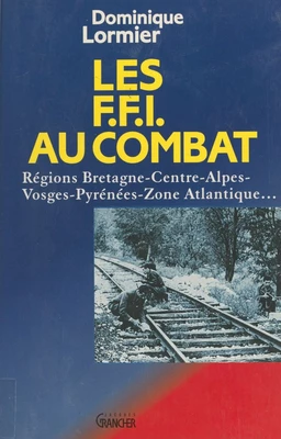 Les FFI au combat