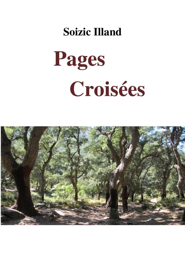 Pages croisées - Soizic Illand - Librinova