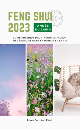 Feng shui 2023  Année du Lapin