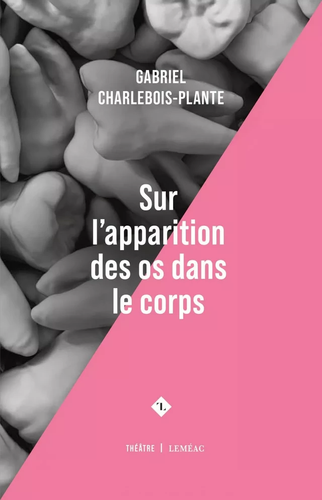 Sur l'apparition des os dans le corps - Gabriel Charlebois-Plante - Leméac Éditeur