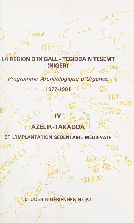 La région d'In Gall-Tegidda n Tesemt (4) - Suzanne Bernus, Patrice Cressier - FeniXX réédition numérique