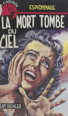 La mort tombe du ciel