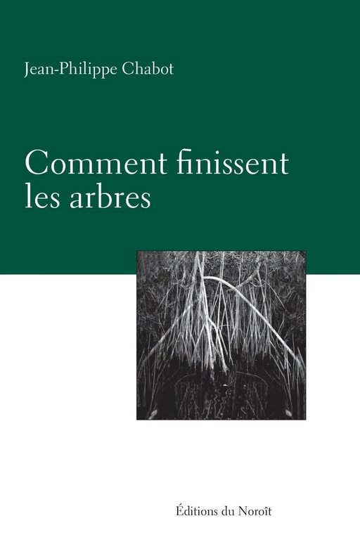 Comment finissent les arbres - Jean-Philippe Chabot - Éditions du Noroît