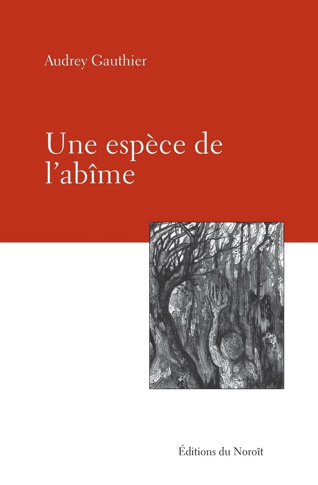 Une espèce de l'abîme - Audrey Gauthier - Éditions du Noroît