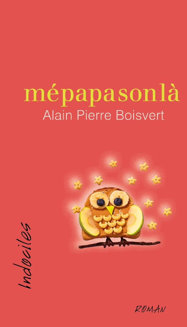 mépapasonlà - Alain Pierre Boisvert - Éditions David