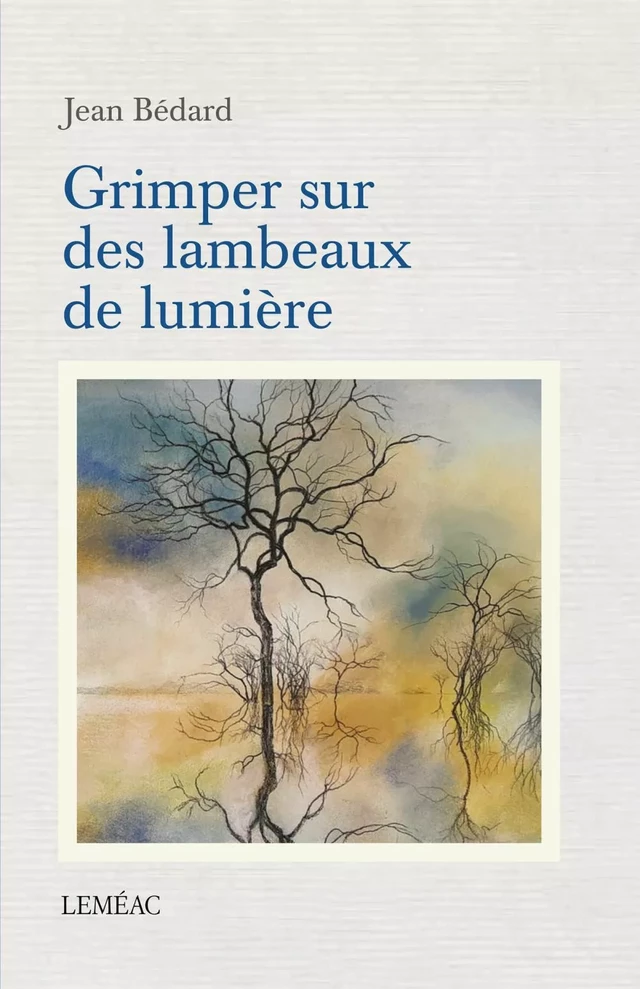 Grimper sur des lambeaux de lumière - Jean Bédard - Leméac Éditeur