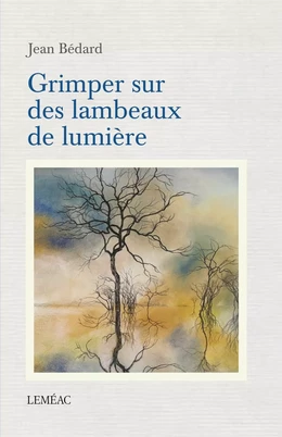 Grimper sur des lambeaux de lumière