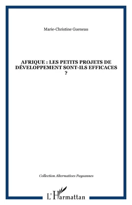 Afrique : les petits projets de développement sont-ils efficaces ?