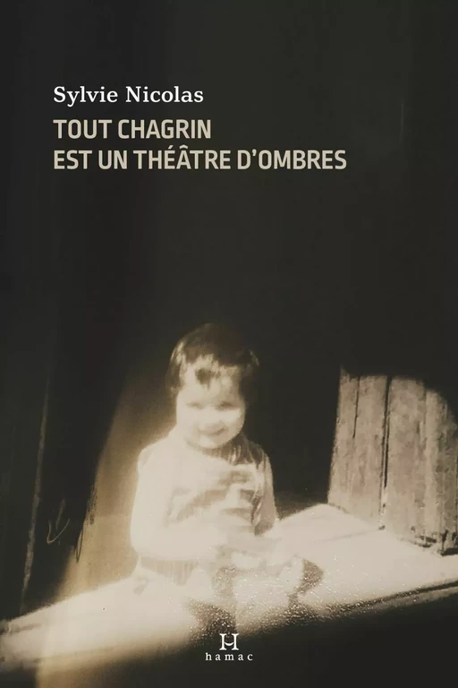 Tout chagrin est un théâtre d'ombres - Sylvie Nicolas - Productions Somme Toute