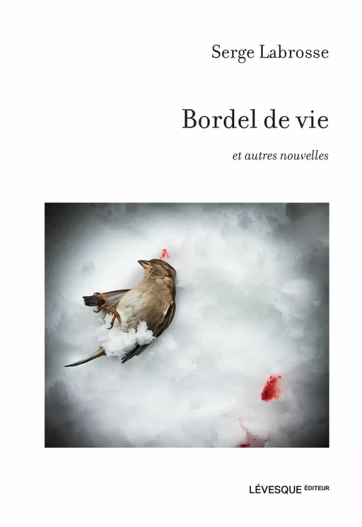 Bordel de vie - Serge Labrosse - Production Somme toute