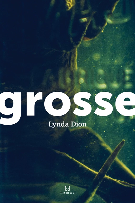 Grosse - Lynda Dion - Productions Somme toute