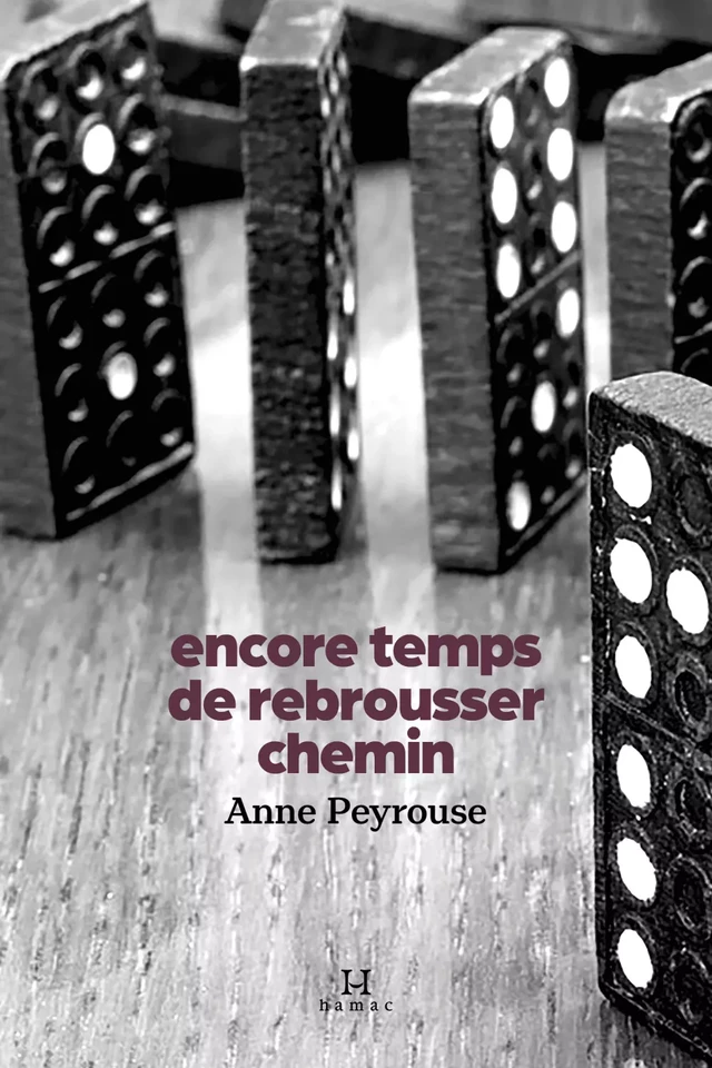 Encore temps de rebrousser chemin - Anne Peyrouse - Productions somme toute