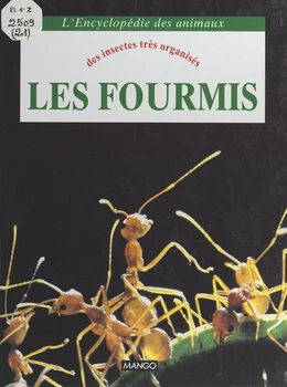 Les fourmis